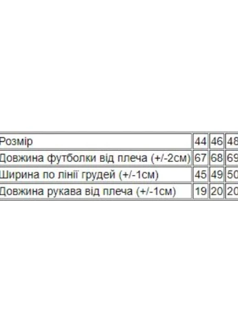 Набір жіночих футболок (2 шт.) з надписом “Calvin Klein” Чорний () No Brand - (260947026)