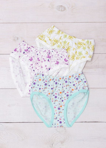 Труси жіночі Фіолетовий Носи Своє (8317-043-v4) Носи своє (261031186)