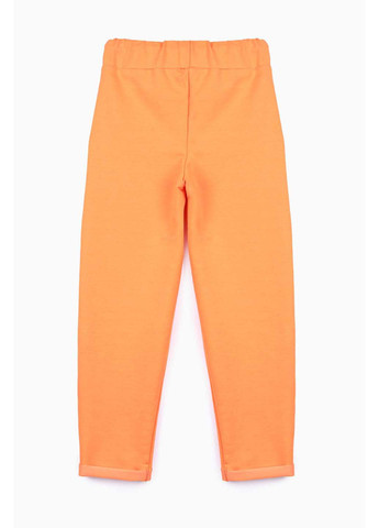 Оранжевые спортивные демисезонные брюки Safari