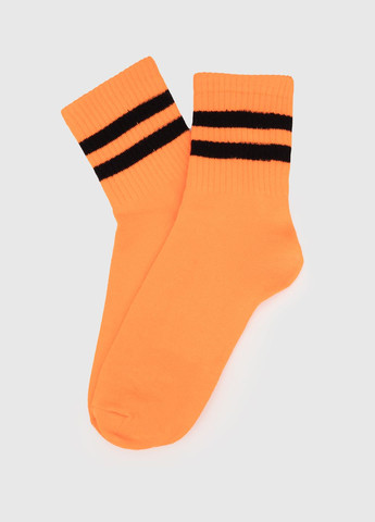 Шкарпетки No Brand (261240968)
