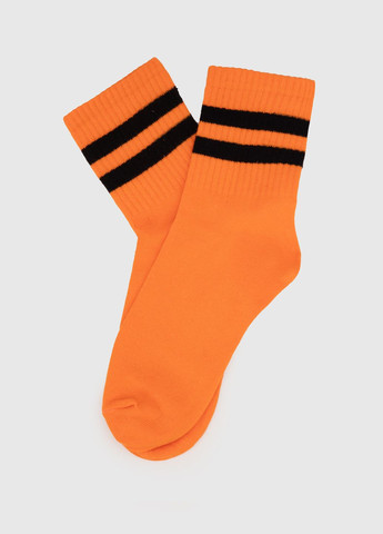 Шкарпетки No Brand (261240670)
