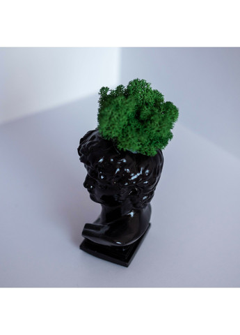 Кашпо Давид с темно-зеленым мхом, черный Trensi (258330533)