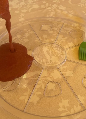 Комплект піддонів лотків для пастили для електросушарок Біломо Вітерець Ротор Чудесниця (6 шт) Profit M (273436312)