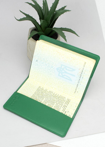 Обложка на паспорт, загранпаспорт кожаная HC-27 (зеленая) HandyCover (269267453)