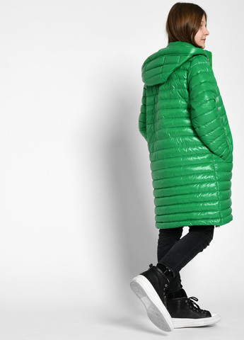 Зелена демісезонна куртка X-Woyz
