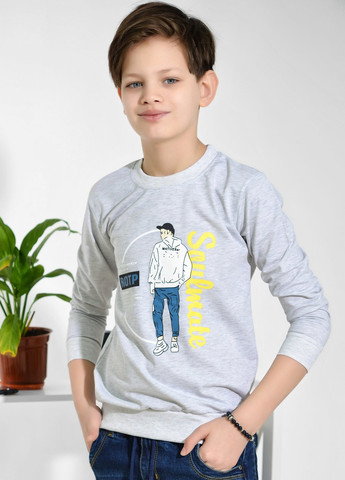 Сіра футболки сорочки батник на хлопчика (matives)16484-709 Lemanta