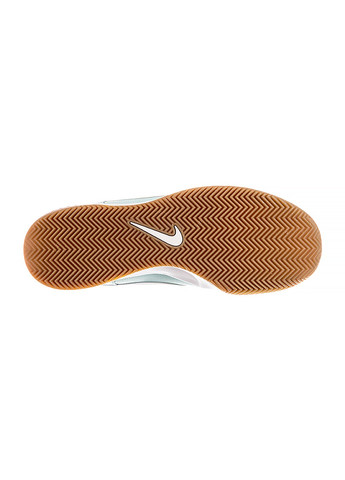 Бирюзовые демисезонные кроссовки zoom court lite 3 cly Nike