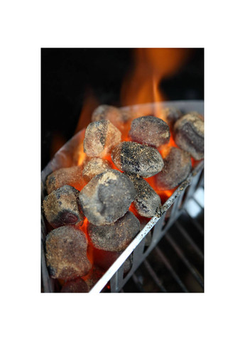 Вугільні брикети, 8 кг (17591) Weber (258412930)