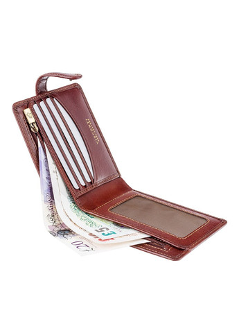 Мужской бумажник TSC41 Massa (Brown) с защитой RFID Visconti (262086679)