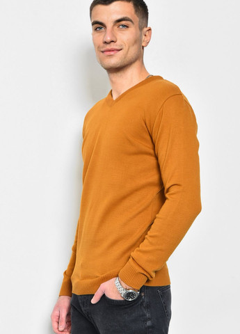 Коричневий демісезонний светр чоловічий напівбатальний коричневого кольору пуловер Let's Shop