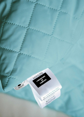 Набір антиалергенних подушок EcoSilk №1601 Eco Light Blue середні 50х70 2 шт (2200002651974) Mirson (258822316)