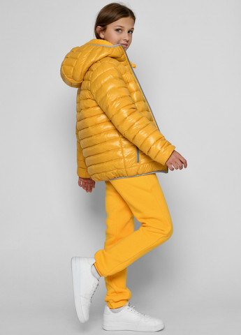 Жовта демісезонна куртка X-Woyz