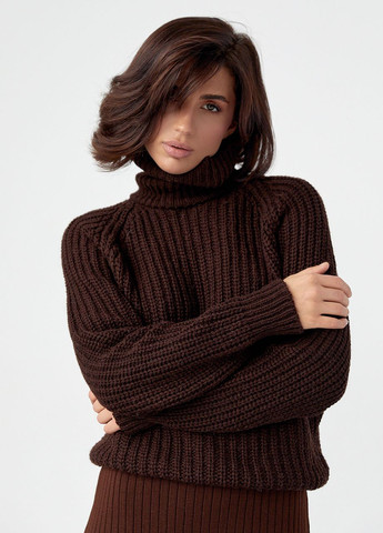 Темно-коричневий зимовий жіночий светр із рукавами-регланами - темно-коричневий Lurex