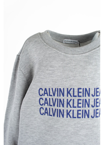 Реглан сірий з принтом Calvin Klein (263684319)