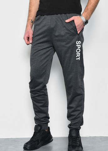 Спортивні штани чоловічі темно-сірого кольору Let's Shop (277609055)