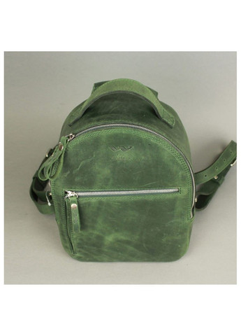 Женский рюкзак из натуральной кожи Groove S зеленый винтажный TW-GROOVE-S-GREEN-CRZ The Wings (263519086)