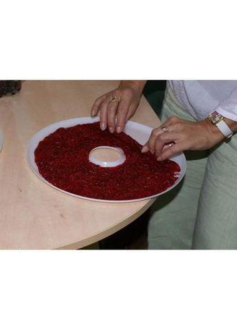 Комплект круглых плотных поддонов лотков для пастилы Беломо Ветерок Ротор Чудесница (3 шт) Kitchette (264641850)