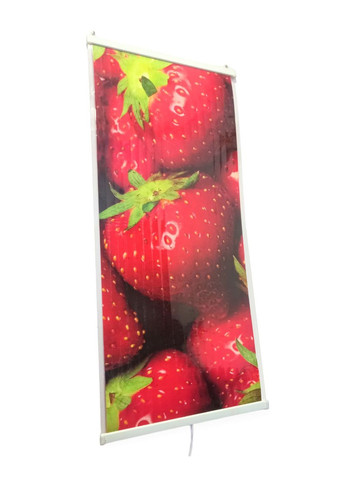 Обогреватель настенный подвесной картина обои с подогревом тема ягоды 100 х 45 см No Brand (269267868)
