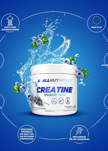 Креатин Creatine Muscle Max 250 g (Blackcurrant) Allnutrition (267724772)