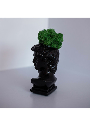 Кашпо Давид с темно-зеленым мхом, черный Trensi (258330533)