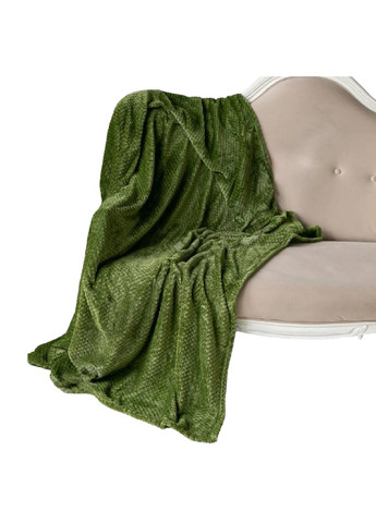 Плед покрывало одеяло микрофибра бамбук двуспальный евро возможность машинной стирки 200х220 см (476101-Prob) Зеленый Unbranded (276310938)