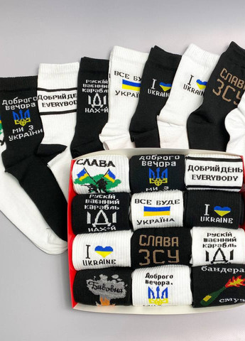 Бокс чоловічих шкарпеток на 12 пар Vakko (257133757)