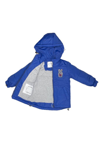 Синяя демисезонная куртка для мальчика Модняшки