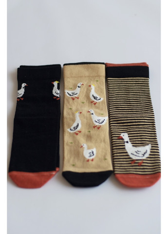 Трендові бавовняні шкарпетки з гусями SOCKS (3пари) 128 Legs (265543983)