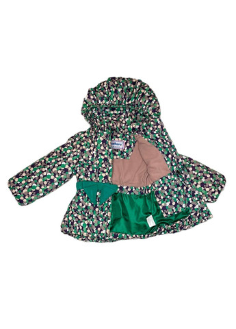 Зеленый демисезонный комплект (куртка, полукомбинезон) Palhare