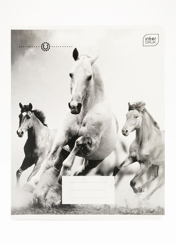 Зошит в клітинку 12 аркушів HORSES колір різнокольоровий ЦБ-00226907 Interdruk (260451365)