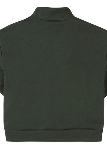 Спортивний костюм утеплений КС747 Зелений Бембі (261550812)