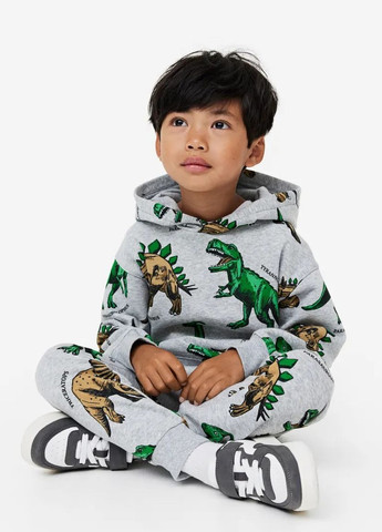 Штани джогери з динозаврами для хлопчика 9126 92 см Сірий 68701 H&M (266337911)