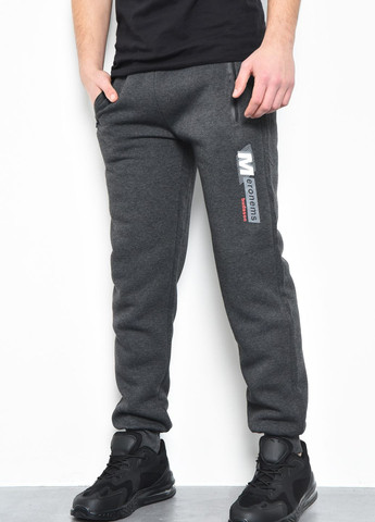 Спортивні штани чоловічі на флісі темно-сірого кольору Let's Shop (275466477)
