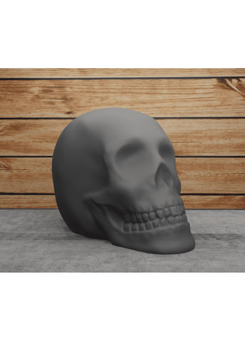 Череп класичний. ЗаСвіт (266424972)