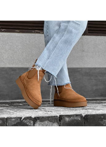 Черевики Уггі з натуральної замші Restime (270830075)