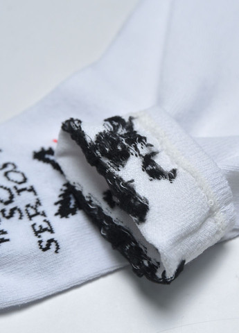 Шкарпетки чоловічі демісезонні білого кольору Let's Shop (275646279)