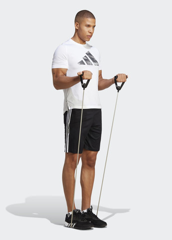 Шорти для тренувань Train Essentials Piqué 3-Stripes adidas (260474136)