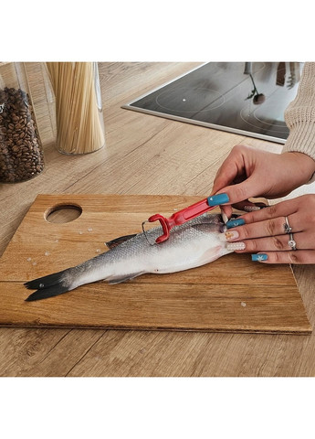 Рибочистка ніж для чищення риби з пластиковою ручкою 12 см Kitchette (277972856)