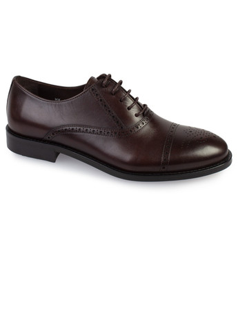 Коричневые классические туфли мужские бренда 9200391_(1) ModaMilano на шнурках
