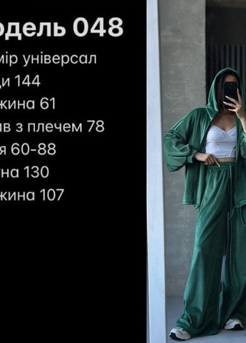 Велюровый женский прогулочный костюм кофта и брюки No Brand (277635493)