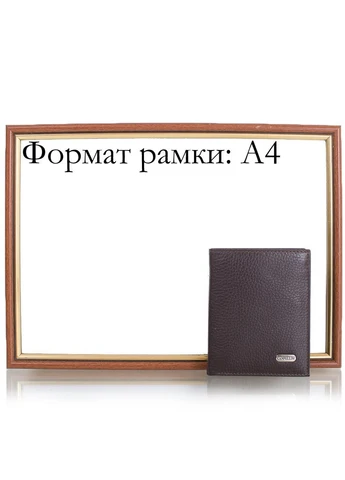 Мужской коричневый кожаный кошелек SHI1101-14 Canpellini (262975861)