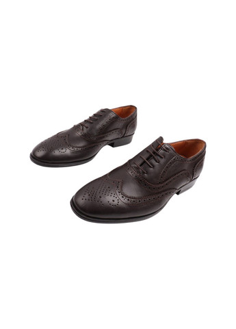 Коричневые туфли мужские кабир натуральная кожа Copalo