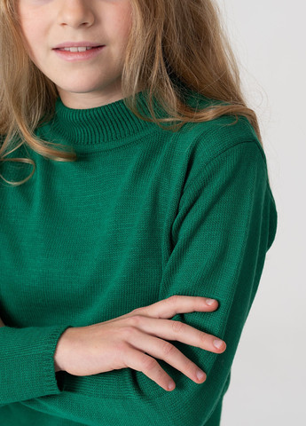 Зеленый демисезонный свитер однотонный зеленый пуловер Yumster