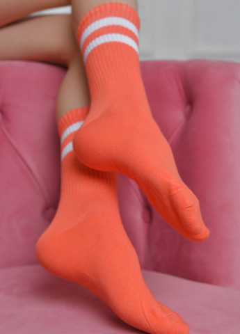 Шкарпетки жіночі високі коралового кольору розмір 36-40 Let's Shop (273176796)