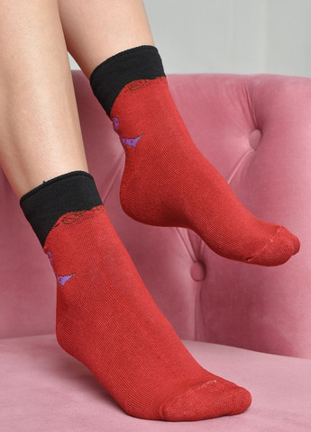 Шкарпетки махрові жіночі медичні без гумки червоного кольору розмір 36-41 Let's Shop (271665132)