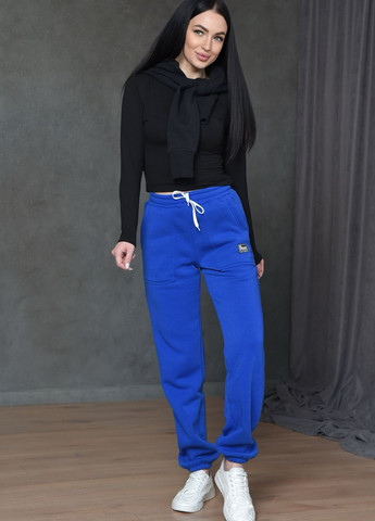 Спортивные штаны женские на флисе синего цвета Let's Shop (265300282)