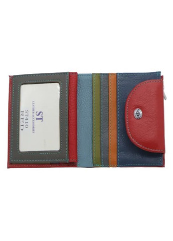 Жіночий шкіряний гаманець на магніті ST 410-1 (276972884)