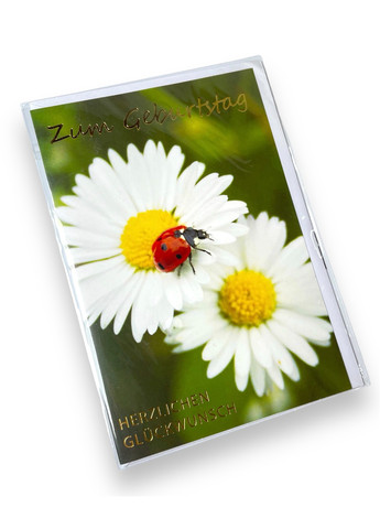 Вітальна листівка з днем народження Melinera (267501254)