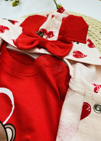 Красный демисезонный комплект ясельный для девочек сердечка мишка Murat baby