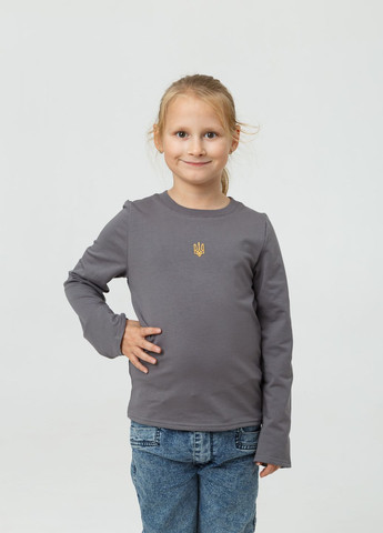 Дитячий лонгслів з вишивкою "Тризуб Класичний" Колір сірий Мальви (267223583)